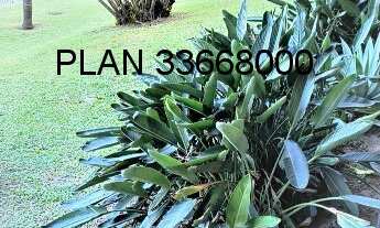 Imagem 3: Apartamento à venda em Porto Alegre-RS, Jardim Lindóia: 3 quartos, 1 suíte, 3 salas, 2 ban