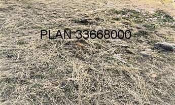 Imagem 6: Terreno para Residencial ou comercial próximo da Avenida Assis Brasil