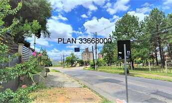 Imagem 5: Rua Zeferino Dias