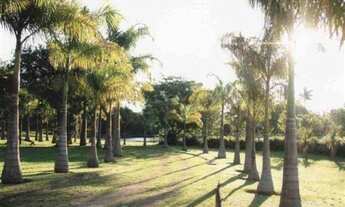 Imagem 4: Maravilhosa área à venda em Morte Mor - SP, com 179.400 m² e 500 metros de frente para a p