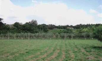 Imagem 7: Maravilhosa área à venda em Morte Mor - SP, com 179.400 m² e 500 metros de frente para a p