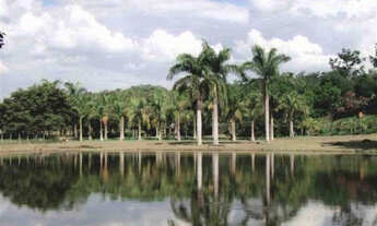 Imagem 3: Maravilhosa área à venda em Morte Mor - SP, com 179.400 m² e 500 metros de frente para a p