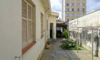 Imagem 5: Casa à venda no Bosque, térrea com 3 dormitórios (suíte), quintal.Oportunidade!