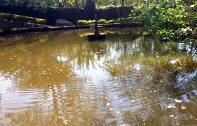 Imagem 2: 7 dormitórios na Rua Garbosa Bruleur