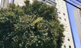 Imagem 4: Apartamento para venda , Vila Itapura, Campinas, com 3 dormitórios (1 suíte) , 2 vagas , e