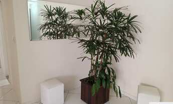 Imagem 5: APARTAMENTO A VENDA, 03 QUARTOS, 02 BANHEIROS, 01 VAGA, CANGAÍBA, SÃO PAULO