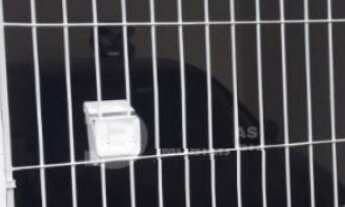 Imagem: 02 CASAS A VENDA, 01 VAGA, CANGAÍBA, SÃO