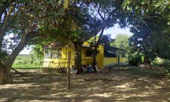 Imagem: CHÁCARA A VENDA, 03 QUARTOS, MATO GROSSO