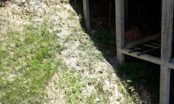 Imagem 5: Terreno com piscina. Caieiras. 7m Frente x 25m Fundo