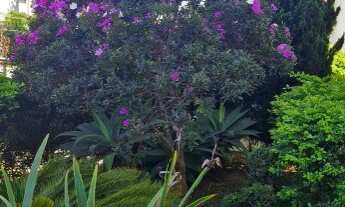 Imagem 5: 2 dormitórios na Estrada Da Divisa