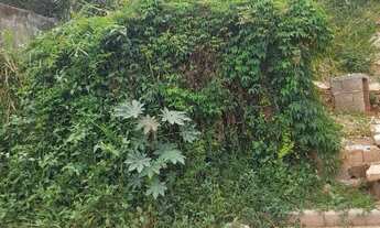 Imagem 3: 677M² de Área Total na Rua Doze