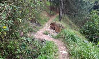 Imagem 2: 6941M² de Área Total na Avenida Rodolfo Polidoro