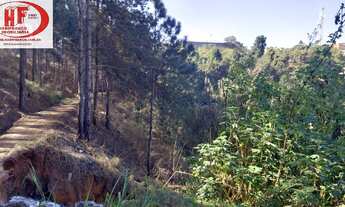 Imagem: 6941M² de Área Total na Avenida Rodolfo