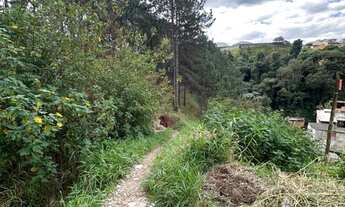 Imagem 4: 6941M² de Área Total na Avenida Rodolfo Polidoro
