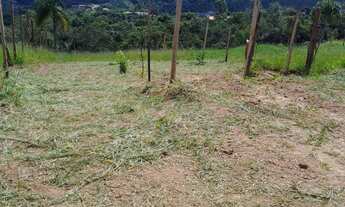 Imagem 7: 500M² de Área Total na Rua Ricardo Mancz