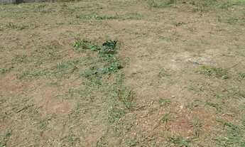 Imagem: 500M² de Área Total na Rua Ricardo Mancz