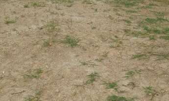 Imagem 4: 500M² de Área Total na Rua Ricardo Mancz