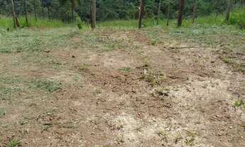 Imagem 6: 500M² de Área Total na Rua Ricardo Mancz