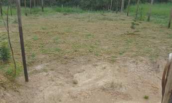 Imagem 5: 500M² de Área Total na Rua Ricardo Mancz