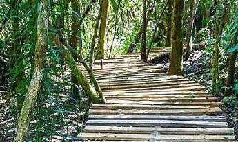 Imagem 3: 420M² de Área Total na Rodovia Pres. Castello Branco