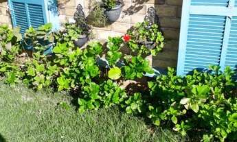 Imagem 4: 7 banheiro, 5 vagas na garagem, 536M² de Área Total