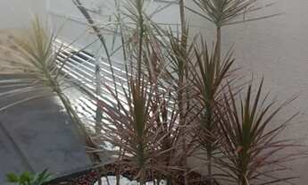 Imagem 5: Casa térrea à venda no Parque Vista Bárbara, em Sorocaba-SP