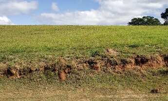 Imagem 6: Terreno à venda no Ecoresidencial Fazenda Jequitibá, em Sorocaba-SP