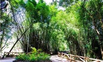 Imagem 4: Casa térrea à venda no Condomínio Saint Patrick, em Sorocaba -SP