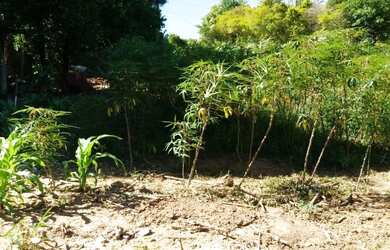 Imagem 2: AREA RESIDENCIAL/ COMERCIAL em Alvorada - RS, Aparecida