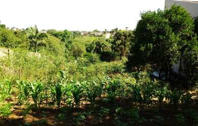 Imagem 6: AREA RESIDENCIAL/ COMERCIAL em Alvorada - RS, Aparecida