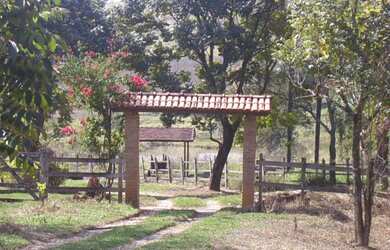 Imagem 2: HARAS RURAL em Juatuba - MG, Braúnas