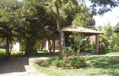 Imagem 6: HARAS RURAL em Juatuba - MG, Braúnas