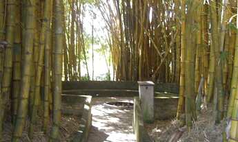 Imagem 7: HARAS RURAL em Juatuba - MG, Braúnas