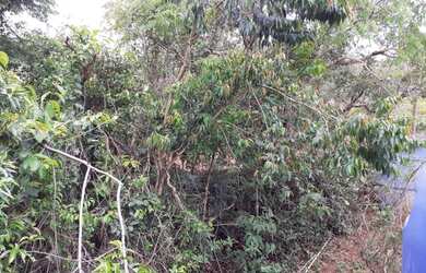 Imagem 6: SITIO RESIDENCIAL em Juatuba - MG, BOA VISTA