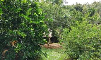 Imagem 7: SITIO RESIDENCIAL em JUATUBA - MG, CANAAN