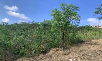 Imagem: LOTE RESIDENCIAL em JUATUBA - MG, Samambaia