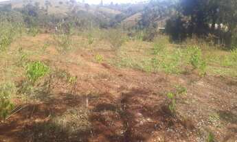 Imagem 4: CHACARA RURAL em JUATUBA - MG, CIDADE SATÉLITE