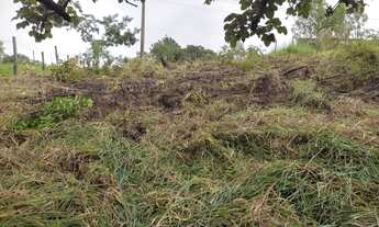 Imagem 6: CHACARA RURAL em JUATUBA - MG, FRANCELINOS