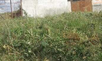 Imagem 4: LOTE RESIDENCIAL em JUATUBA - MG, FRANCELINOS