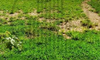 Imagem 2: Terreno à venda London Park