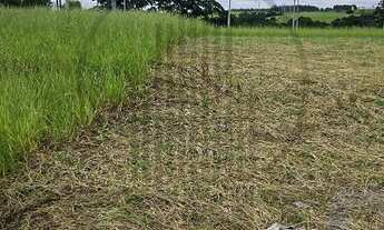 Imagem: TERRENO - JARDIM BOM SUCESSO - INDAIATUBA/SP