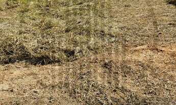 Imagem: TERRENO - JARDIM BOM SUCESSO - INDAIATUBA/SP