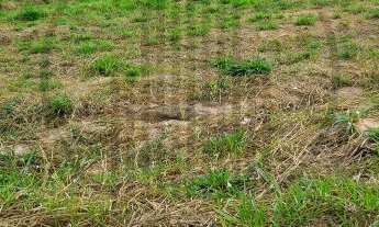 Imagem: TERRENO - CONDOMÍNIO CASA DO LAGO - INDAIATUBA/SP