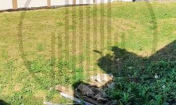 Imagem 5: TERRENO RESIDENCIAL em INDAIATUBA - SP, JARDIM RESIDENCIAL DONA LUCILLA