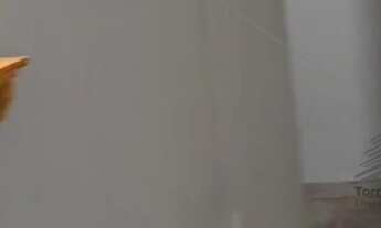 Imagem 2: Apartamento de 135 m² para locação Belenzinho, 3 dormitórios sendo 1 suíte, 2 banheiros, c