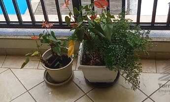 Imagem 2: Apartamento a Venda no Alto da Mooca