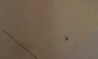 Imagem 7: Imperdível! Sobrado à venda em Santo André-SP, bairro Parque Gerassi. 4 quartos, 1 suíte