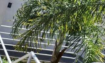 Imagem 2: Imperdível casa à venda em São Paulo-SP, com 2 quartos, 1 suíte, 2 salas, 3 banheiros, 2 v