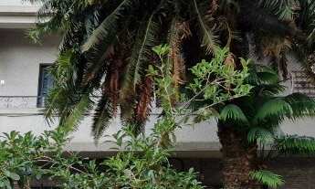 Imagem: Apartamento para locação em São Paulo-SP