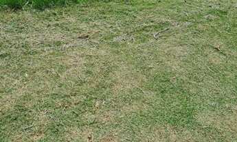 Imagem 6: Terreno no Condomínio Porto Atibaia em Atibaia SP